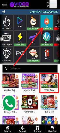 Letak permainan Wild Flow